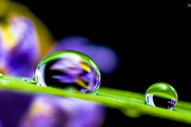 Rain Drop HD Wallpapers
