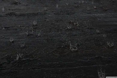 Cold Rain Drops HD Desktop Wallpapers : Widescreen : High ...