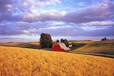 Nature Red Barn Washington Wallpapers