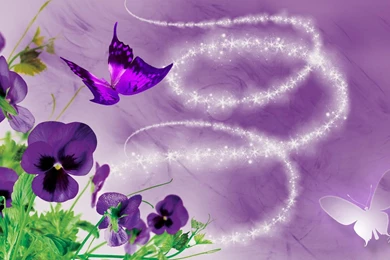 Purple Prize Pansies >> HD Wallpaper, Get It Now!