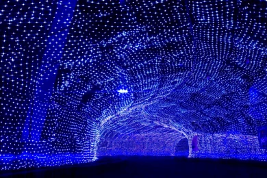 The Magic Arch >> HD Wallpaper, Get It Now!