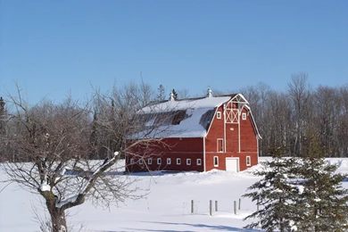 Cloudeight Free Desktop Wallpapers