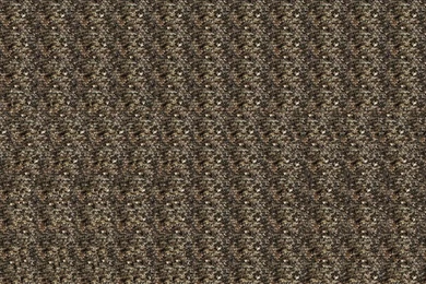 Stereogram
