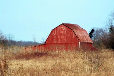 Red Barn In Field By MadGardens On DeviantArt