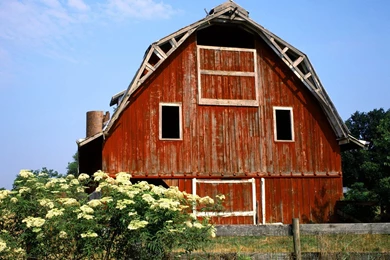 Bet365 Bonus Code 2012 Bet365 Service Picture And Photos