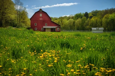 Pic > Barn Backgrounds