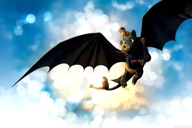 How To Train Your Dragon Movie HD Desktop Wallpapers : Widescreen ...