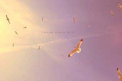 Christian Wallpapers   978336