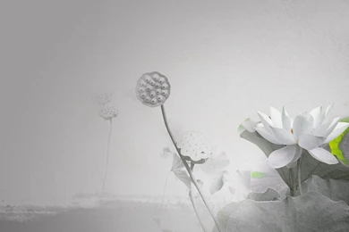 Art Yoona SNSD Girls Generation Kpop South Korea Music Girl Asian ...