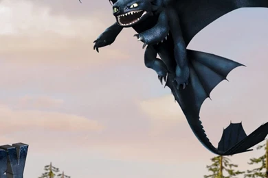 Download Wallpapers 1080x1920 How To Train Your Dragon, Toothless ...