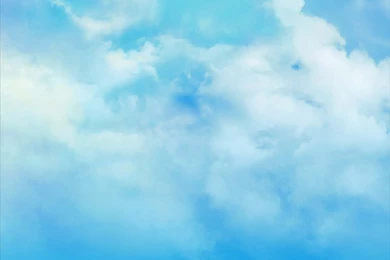 DreamWorks Animation's How To Train Your Dragon 2