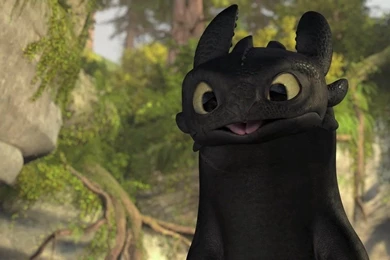 How To Train Your Dragon Wallpapers Toothless 3   High Definition ...