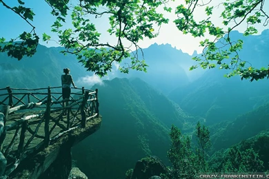 Summer Nature Wallpapers   Crazy Frankenstein