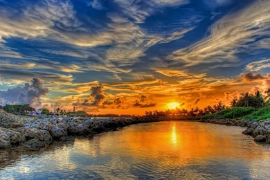 Breathtaking Golden Sunset Behind The Palm Trees Wallpapers ...