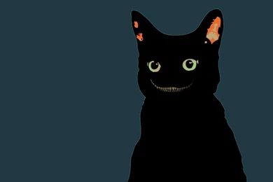 Black Cat Wallpapers 2560x1440   (