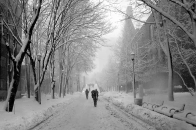 Minh's Photolog: Locust Walk