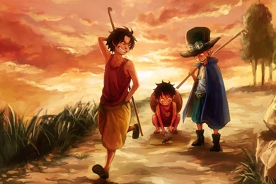 Wallpapers Portgas D Ace Luffy One Piece Brotherhood Brother X ...