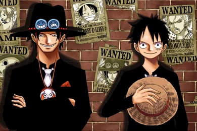 Portgas D Ace And Luffy HD Wallpapers