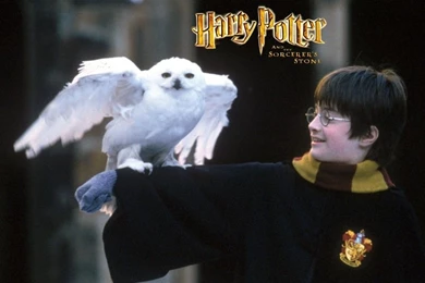 Wallpapers Poetr Nature Free Harry Potter 1024x768