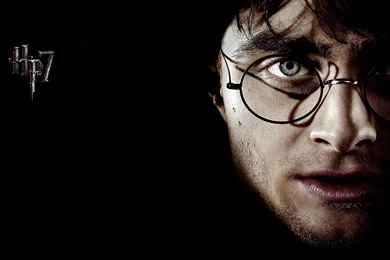 Harry Potter And The Deathly Hallows: Part 1 Wallpapers   Free Wide ...