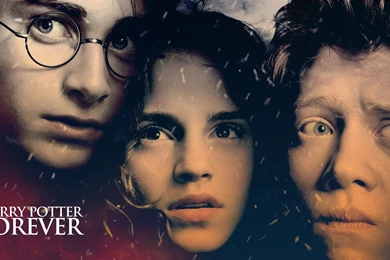 Harry Potter   Harry Potter Wallpapers (24014849)   Fanpop