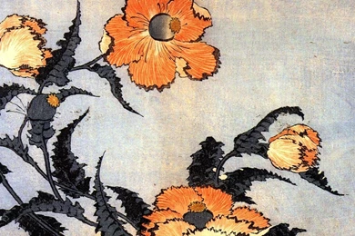 Katsushika Hokusai Poppies Wallpapers (