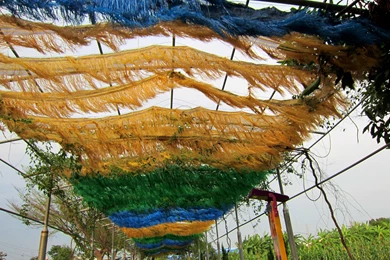 Sky, Wings, Flying Vehicles, Airplanes, Flight, Hd Airplane Images ...