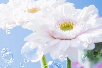 Iphone 5 wallpapers hd 3512 seacg.jpg