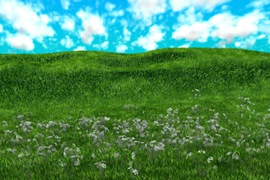 Grassy Knoll By Ekliptikz On DeviantArt