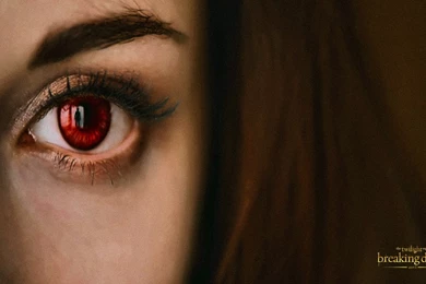 Another Pack Of HD Wallpapers From "Breaking Dawn Part 2"