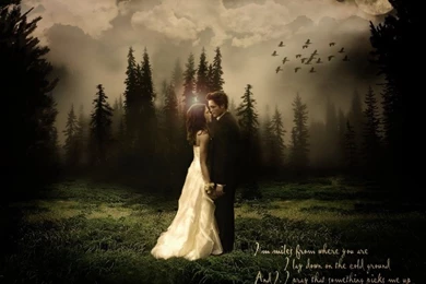 Edward & Bella Wedding Breaking Dawn Wallpapers (14362306) Fanpop