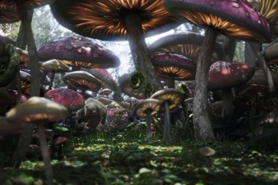 Gallery For   Alice In Wonderland Backgrounds