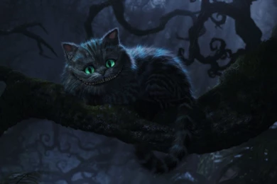 Cheshire Cat   Alice In Wonderland Wallpapers   Cartoon Wallpapers ...