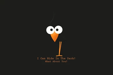 Bird With Funny Text HD Desktop Wallpapers