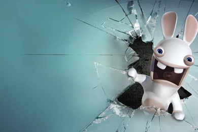 Funny HD Wallpapers For Desktop   Zibrato