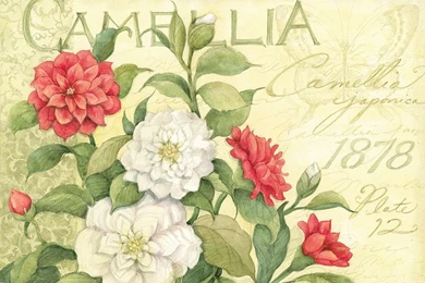 Lang Free Wallpapers   Wallpapers Cave