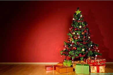 Christmas Tree Wallpapers HD Pictures