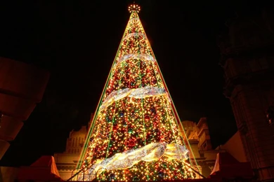 Christmas Tree With Light