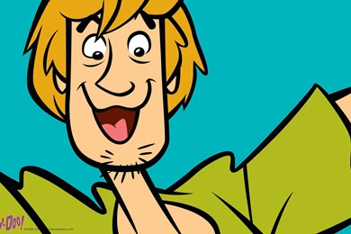 Shaggy   Scooby Doo Wallpapers (38561862)   Fanpop