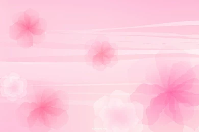 Download Pink Flower Backgrounds 5921 2880x1800 Px High Resolution ...