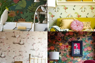 JUST DON'T CALL IT A FEATURE WALL   Lobster And Swan