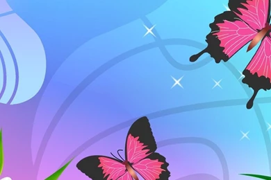 Butterfly Wallpapers Hd