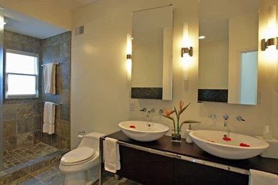 Modern Bathroom Ideas Houzz