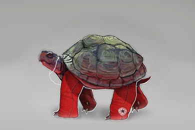 IPod Turtles Converse Hipster Hip Backgrounds Apples Tortoise ...
