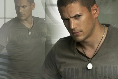 Wentworth miller wallpaper hd 8.jpg