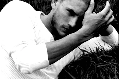 Went Miller   Wentworth Miller Wallpapers (638069)   Fanpop