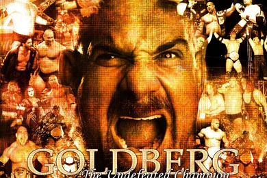 Goldberg Wallpapers   Wallpapers Animal Hd