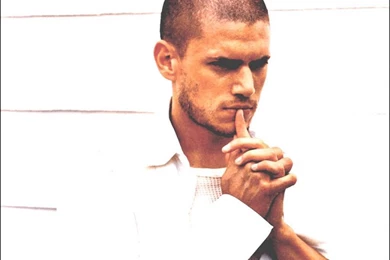 Wentworth miller image gallery 1.jpg