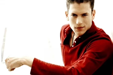 Best Looking Man   Wentworth Miller   1440x900 Wallpapers