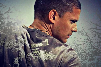 Wentworth Miller   Wentworth Miller Wallpapers (38407570)   Fanpop